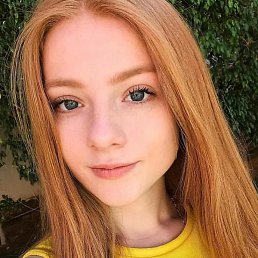 , , 24 