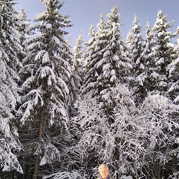 ������, ������, 64 ����