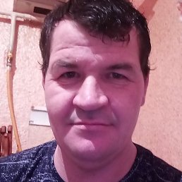 �������, �������, 46 ���