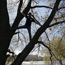 ���� ����, ������, 38 ��� - ��������� 5 ���� 2023