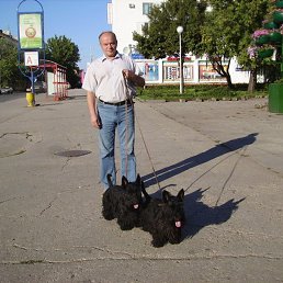 ������, ������, 78 ���