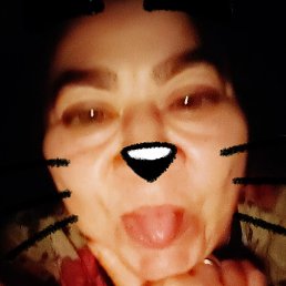 �������, ������ ��������, 54 ����