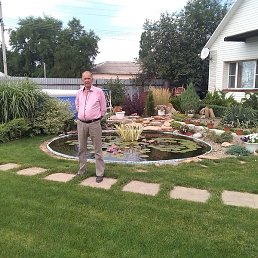 �������, ���������, 71 ���