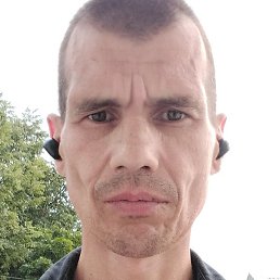 , , 46 