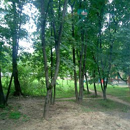 Maks, ������, 42 ����