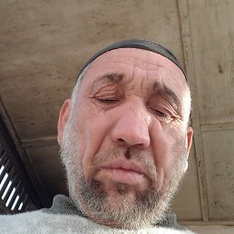 ������, �������, 52 ����