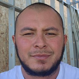 Saul, ������, 33 ����