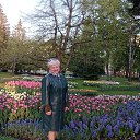 ���� ����, ������, 62 ���� - ��������� 27 ��� 2023 � ������ ���� ����������