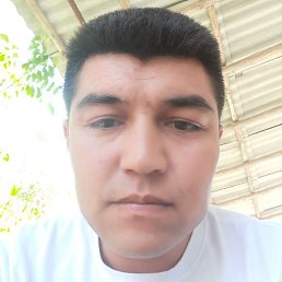 ����, ������, 38 ���