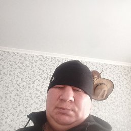 �����, ������, 36 ���