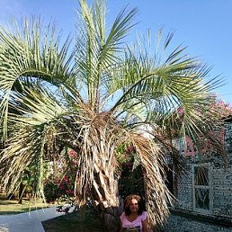 ��������, ���������, 35 ���