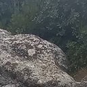 ���� Demrr, �����������, 38 ��� - ��������� 16 �������� 2023 � ������ ���� ����������