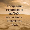 ���� �� �������, �������, 41 ��� - ��������� 7 ��� 2023 � ������ ���� ����������