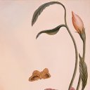  , , 61  -  15  2023