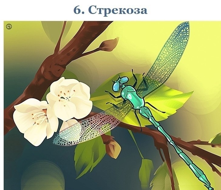    :     1  ,      ? - 5