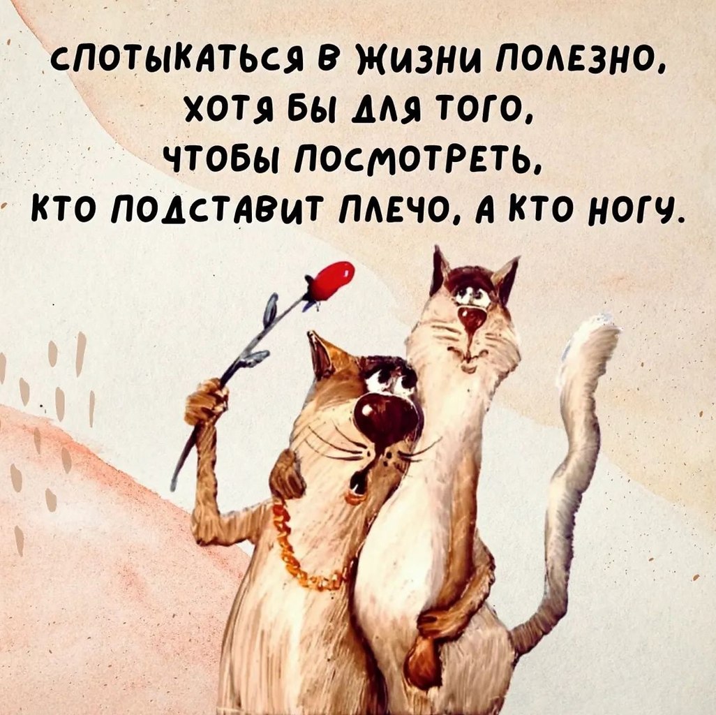   - 22  2023  07:51