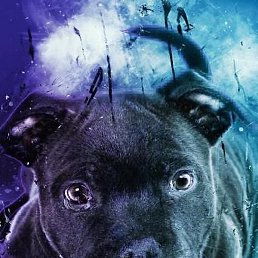 Joni, ������, 31 ���