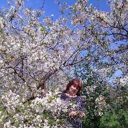 �����, �����������, 70 ���