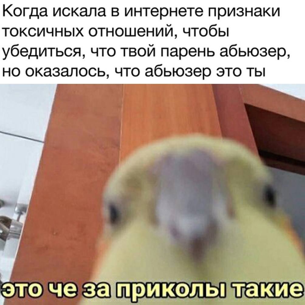    - 24  2023  09:23