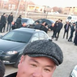 ������, �����, 40 ���