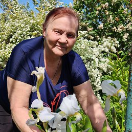 ���� ������, ���������, 81 ��� - ��������� 1 ������� 2023