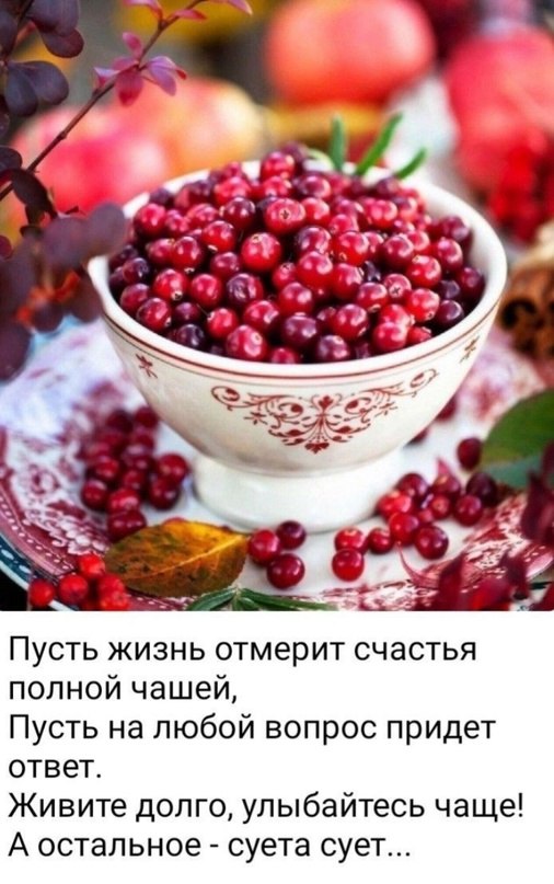   - 13  2023  11:19