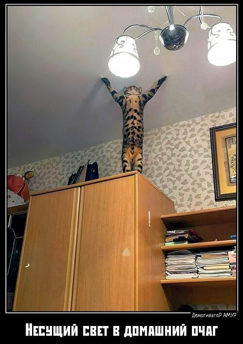  !  ... )))