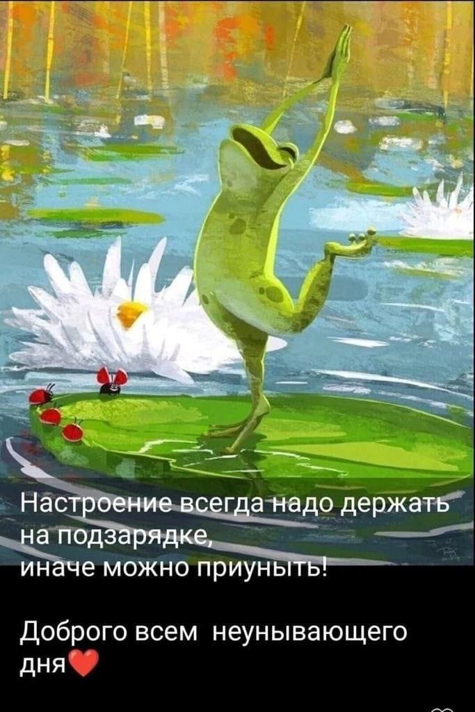  - 20  2023  11:02