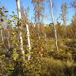 ���� ���������, ��������, 66 ��� - ��������� 26 ���� 2023