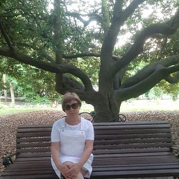 �������, ���������, 55 ���