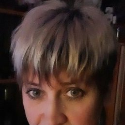 ���, �������, 55 ���