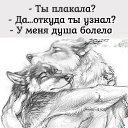 ���� ����, ������-��-����, 36 ��� - ��������� 18 ������� 2023