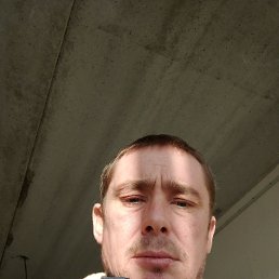 , 41 , 
