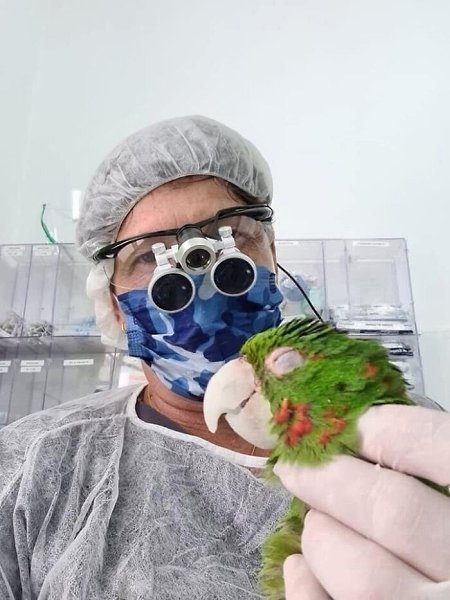     3D     ,       ... - 6