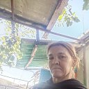 ���� ��������, �����, 44 ���� - ��������� 27 �������� 2025 � ������ ���� ����������