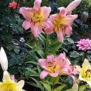 ���� ������, ���������� �����, 65 ��� - ��������� 9 ������ 2026 � ������ ���� ����������