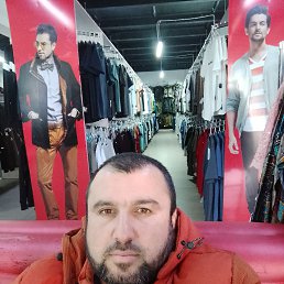 , 37, 