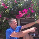 ���� Nikolay, �������, 50 ��� - ��������� 31 ���� 2026 � ������ ���� ����������
