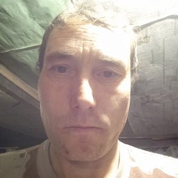 �����, ������������, 41 ���