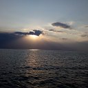 ���� ��������, ��������, 52 ���� - ��������� 21 ������ 2025 � ������ ���� ����������