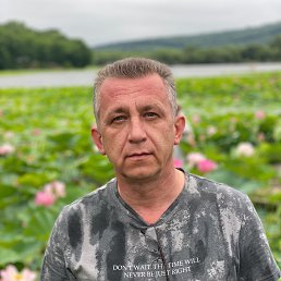 , 46, 