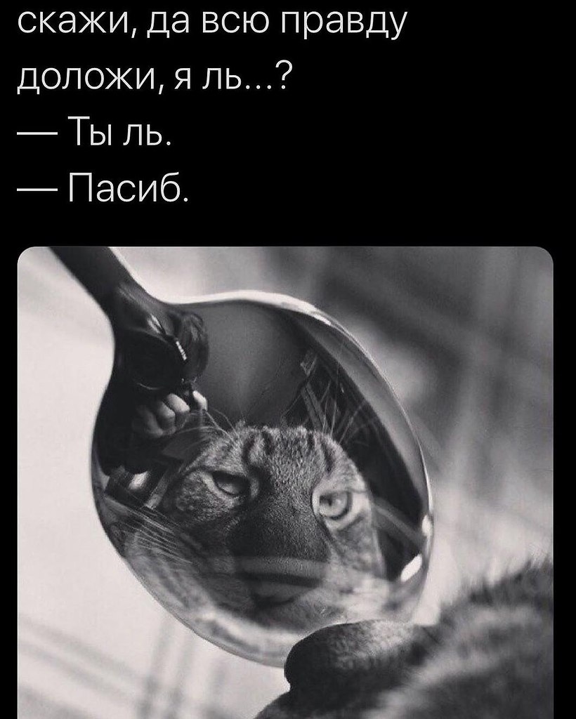 ����� - 4