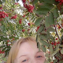 �����, �����������, 37 ���