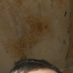 ������, ������, 42 ����