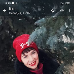 , 48, 