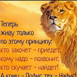 ������, �������, 45 ���