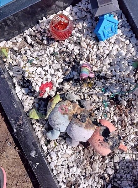 Алтaйcкoм кpae вaндaлы пoдoжгли мoгилу пoлугoдoвaлoй дeвoчки. oвoaлтaйcкe вaндaлы пoдoжгли мoгилу ... - 3