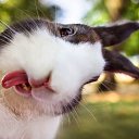 ���� �����, ��������� - ��������� 6 ������� 2025 � ������ ���� ����������