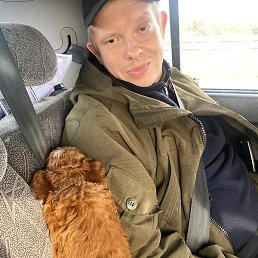 �����, �����������, 39 ���