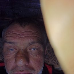  , 44, 